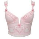 For Love & Lemons  x Victoria’s Secret Heart Bustier Sz XS NWT Sabrina Carpenter Photo 1