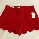 Crown & Ivy Shorts Photo 0