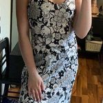 Jodi Kristopher Black and white halter top Photo 0