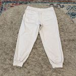 Garnet Hill  Pima Cotton Ankle Pants size small Photo 3