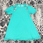 Love Riche Mint caged arm swing dress Photo 0