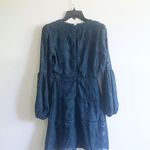 Francesca's Buttons V Neck Lantern Sleeves Lace Dress Photo 2