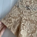 ZARA Womens Small Ivory Floral Lace Top Whimsical Romantic Lace Edwardian Photo 4