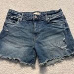 Kut From The Kloth Jane Long Shorts Photo 0