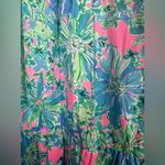 Lilly Pulitzer  Aldena Floral Ruffle A Line Mini Dress Sz Small Photo 3