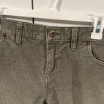 Carve Designs Carve‎ designs shorts . Size 10 Photo 1