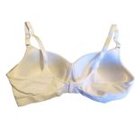 Fruit of the Loom  SEAMLESS WIREFREE LIFT PADDED BRA SZ 42C WHITE Photo 1