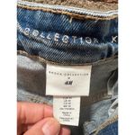 Brock Collection  X H&M Denim Shorts Photo 4