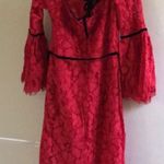 Alexis NWOT  lace dress Photo 6