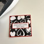 Brighton Endless Love ❤️ Belt Bag Tom Clancy Aasha Ramdeen Collaboration Photo 5