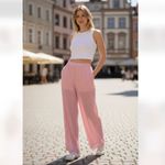 ZARA NWT Pleated wide leg pants Mauve / Pink Bloggers Fav Photo 1