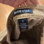 Blue Spice Denim Skirt Photo 2