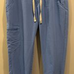 FIGS Zamora Jogger Scrub Pants Ceil Blue Photo 4