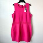 Ted Baker  Gorgeta Tulip Hem Knit Dress Bright Pink 6 Equals 14‎ Photo 2