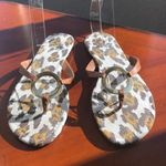 Colin Stuart Colin Stewart leopard print gold accents sandals flip flops summer vacation Photo 0