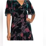 Max Studio  Velvet Burnout Woodland Fairy Babydoll Tiered Flutter Slv Green M Photo 1