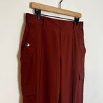 Athleta - Vienna Cargo Pant City Stripe Brown Outdoors Travel Hiking Walking Photo 3