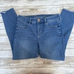 American Eagle Dream Jean 8 Blue Denim Jegging Distressed Ankle Stretch MidRise Photo 2