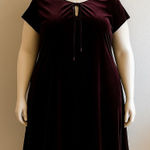 Lane Bryant Burgundy Velvet Short Sleeve Tie Neck Midi Dress Size: 22 Photo 0