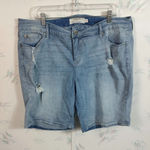 Torrid Denim Jean Shorts Photo 0