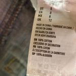 American Eagle Distressed Hi-Rise Festival Jean Shorts Photo 8