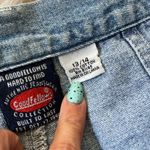 Goodfellow & Co Vintage GoodFellows 90s embroidered jean shorts Photo 3