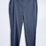 Eileen Fisher NWOT Cotton Blend Ponte Slim Pant In Ocean Blue Size Small Photo 1