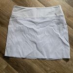 EUC S.C.& Co. Mini Skort Athletic Wear Size Large Tennis Outdoor Yoga Vacation Blue Photo 0