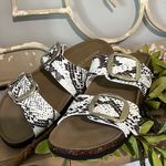 Madden Girl  Sandals Snake Skin Look Slides Womens 6 New in Box White Brown Photo 0