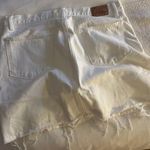 Lucky Brand skirt Photo 1