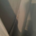 Zenana Outfitters Wrap Front, Side Tie Blouse.​ Photo 4