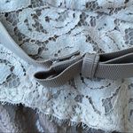 Adrianna Papell  Lace Long Sleeve Gown Photo 8