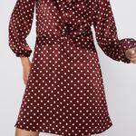 ZARA NWOT POLKA DOT SILKY / SATIN MINI DRESS BLOGGERS FAV Photo 4