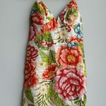 Farm Rio NWT  Anthropologie Vintage Floral Deep V Mini Dress Size Medium Vacay Photo 0