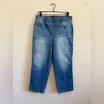 Spanx  Straight Ankle Jeans Size 1X Style 2036Q Photo 2