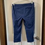 Hilary Radley  Blue Print Slim Leg Cropped Pants 10 Photo 4