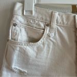 We The Free Shorts Bright White Distressed High Rise Waist Denim Jean Sz 28 EUC Photo 2
