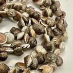 Seashell snail Lei necklace Photo 1