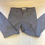 Kenar  Black-Blue-White Stretch Dress Pants Photo 0