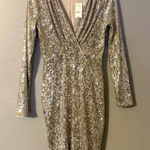 EXPRESS  Silver Sequin Long Sleeve Dress Photo 0