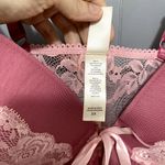 Jessica Simpson Pink Floral Lace Mesh Sheer Lined Wired Camisole 3X Photo 2