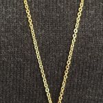 EXPRESS 2 Tier Goldtone Chain Necklace Photo 1