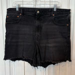 American Eagle  Highest Rise Boyfriend Black Denim‎ Shorts Size 18 Photo 0