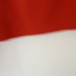 Lululemon Athletica Red Hoodie sweatshirt. Size 4 Photo 2