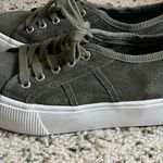 Steve Madden  Sneaker Photo 0