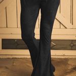 Tribe Kelley  Midnight Suede Bell Bottoms Photo 0