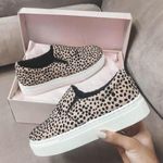 Platform Slip on Leopard Shoes Multiple Size 8 Photo 0