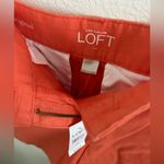 Ann Taylor LOFT Summer Shorts Photo 8