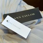 Ann Taylor Straples Light Gray Heart Shape Neckline Empire Waist Mini Dress SZ 2 Photo 11