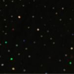 R & M Richards  VTG 90s Glam Black Sequin Sleeveless Nylon Blend 16 WP NWOT Photo 9